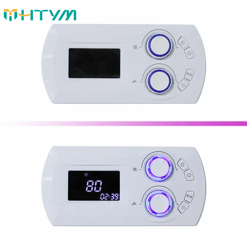 Multifunctional Wall-Mounted Gas Boiler with Two Heat Exchangers