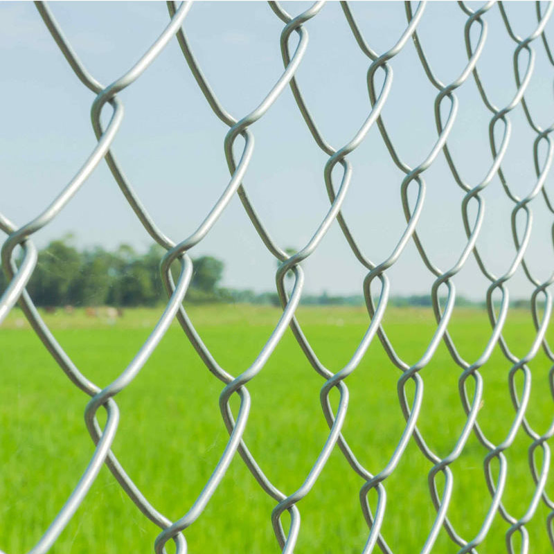 2.0mm Wire 2 Inch Diamond Hole Cyclone Wire Fence Design Galvanized Chain Link Fence Wire Mesh Rolls