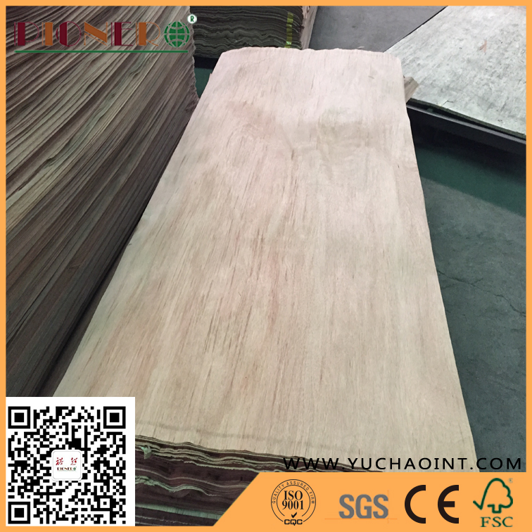 A Grade Rotary Cut Natural Gurjan/Keruing Veneer for India Market