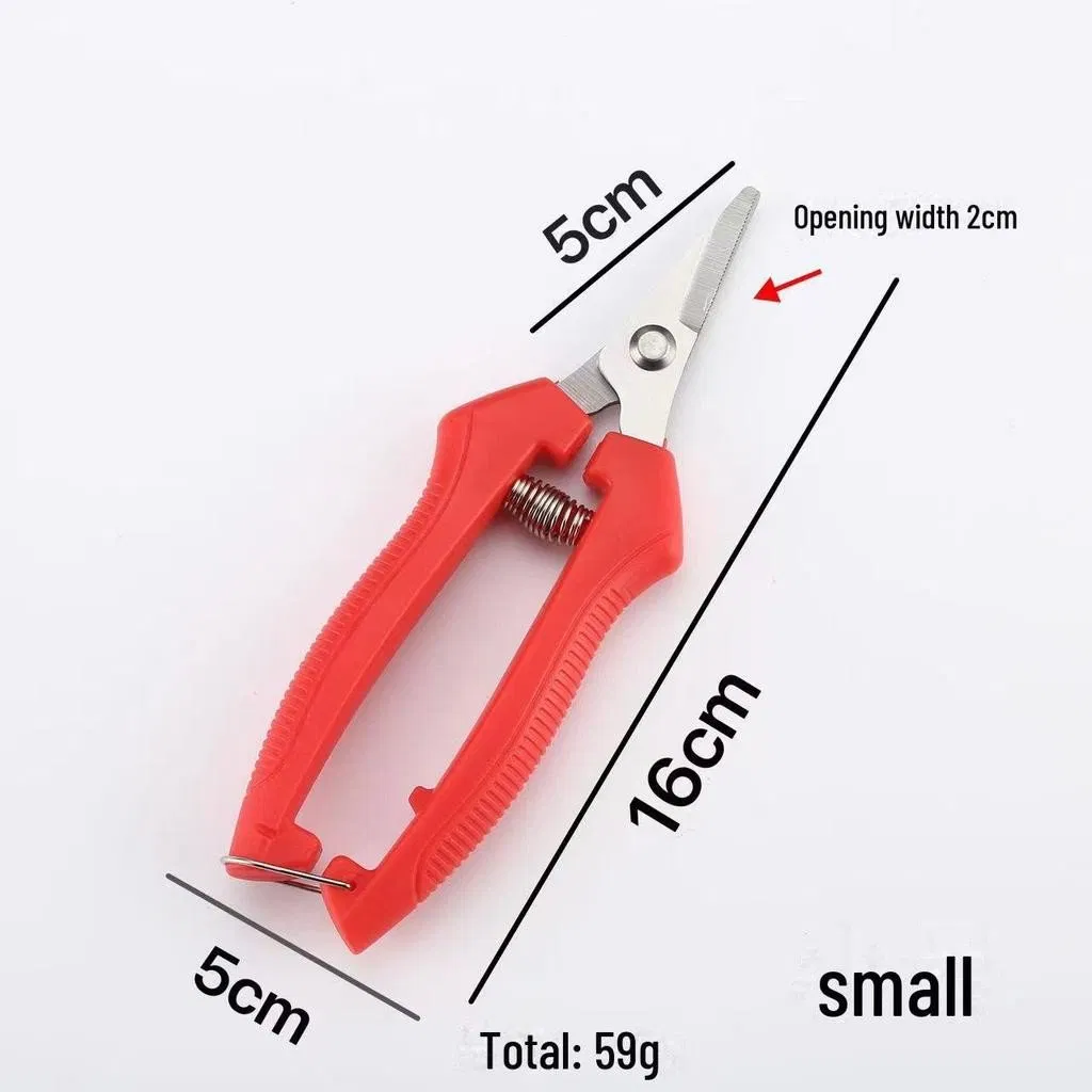 Gardening Shears Fruit Pruning and Thinning Scissors for Orange, Vegetable, and Grape Picking