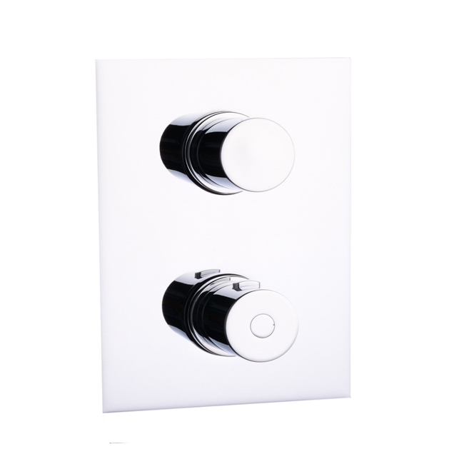 The Contracted Simple Design of Brass Polished Mounted Thermostatic Shower