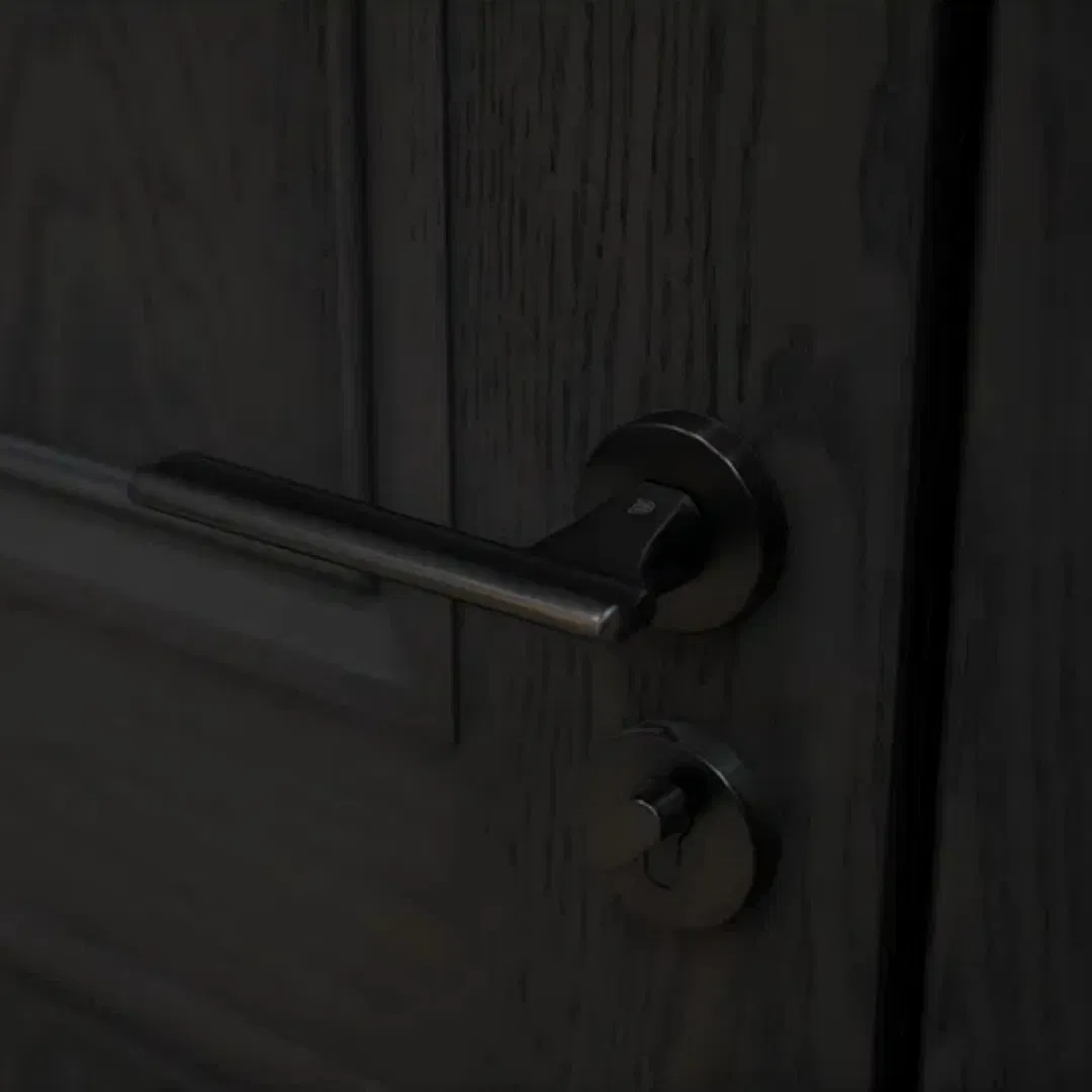 Minimalist Other Aluminium Easy-Install Internal Wood Door for Apartment Entry