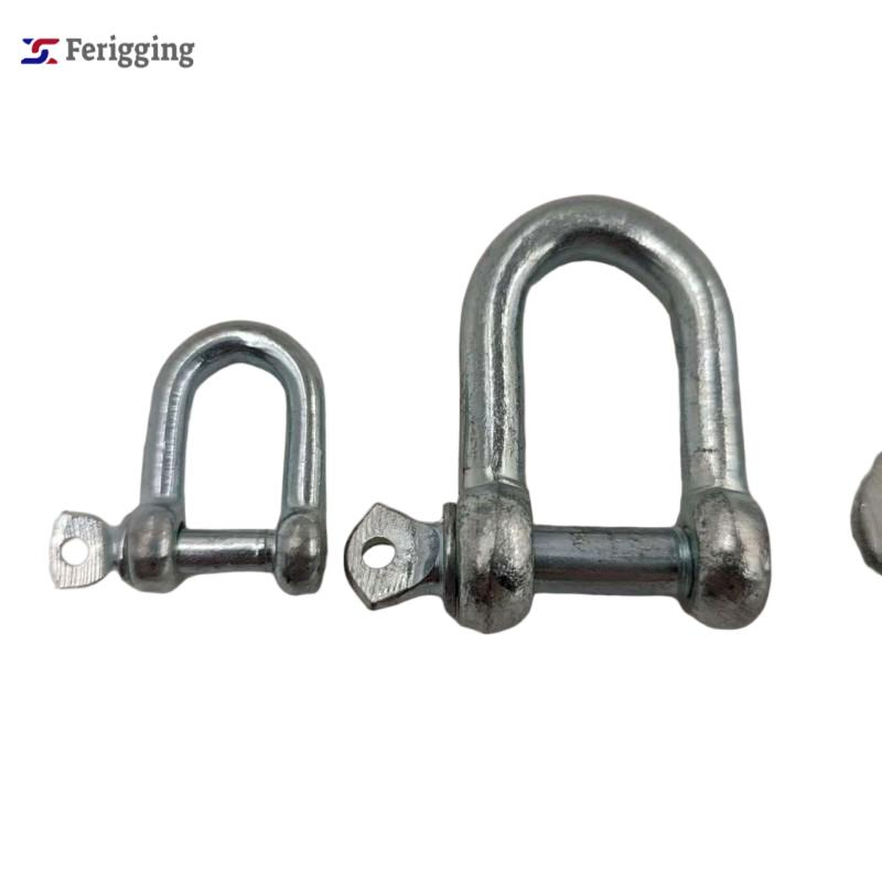 Wholesale D Shackle Galvanized Steel Bow Shackle with Screw Pin