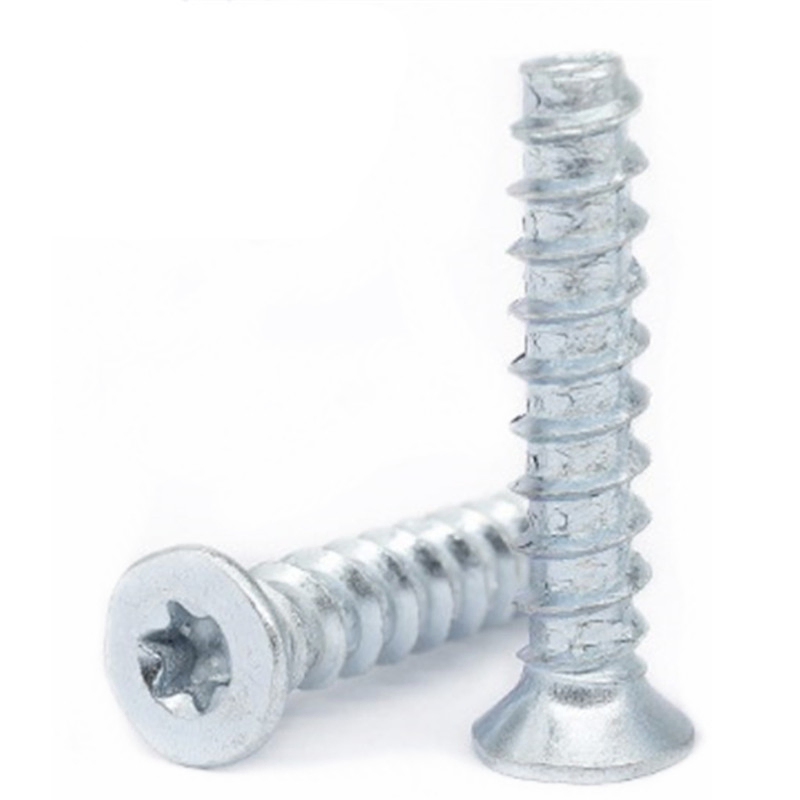 Cheap Price 18-8 Stainless Steel Torx Flat Head Thread Forming Screw for Plastic Metal Screw