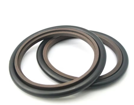 Уплотнение поршневого штока GBS типа