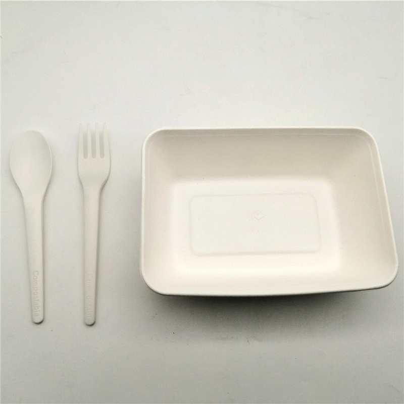 Disposable Biodegradable Sugarcane Bagasse Food Packaging Container
