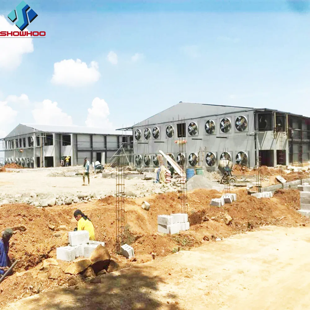 Steel Structure Poultry Farm House Chicken Shed Chicken Barn Construction