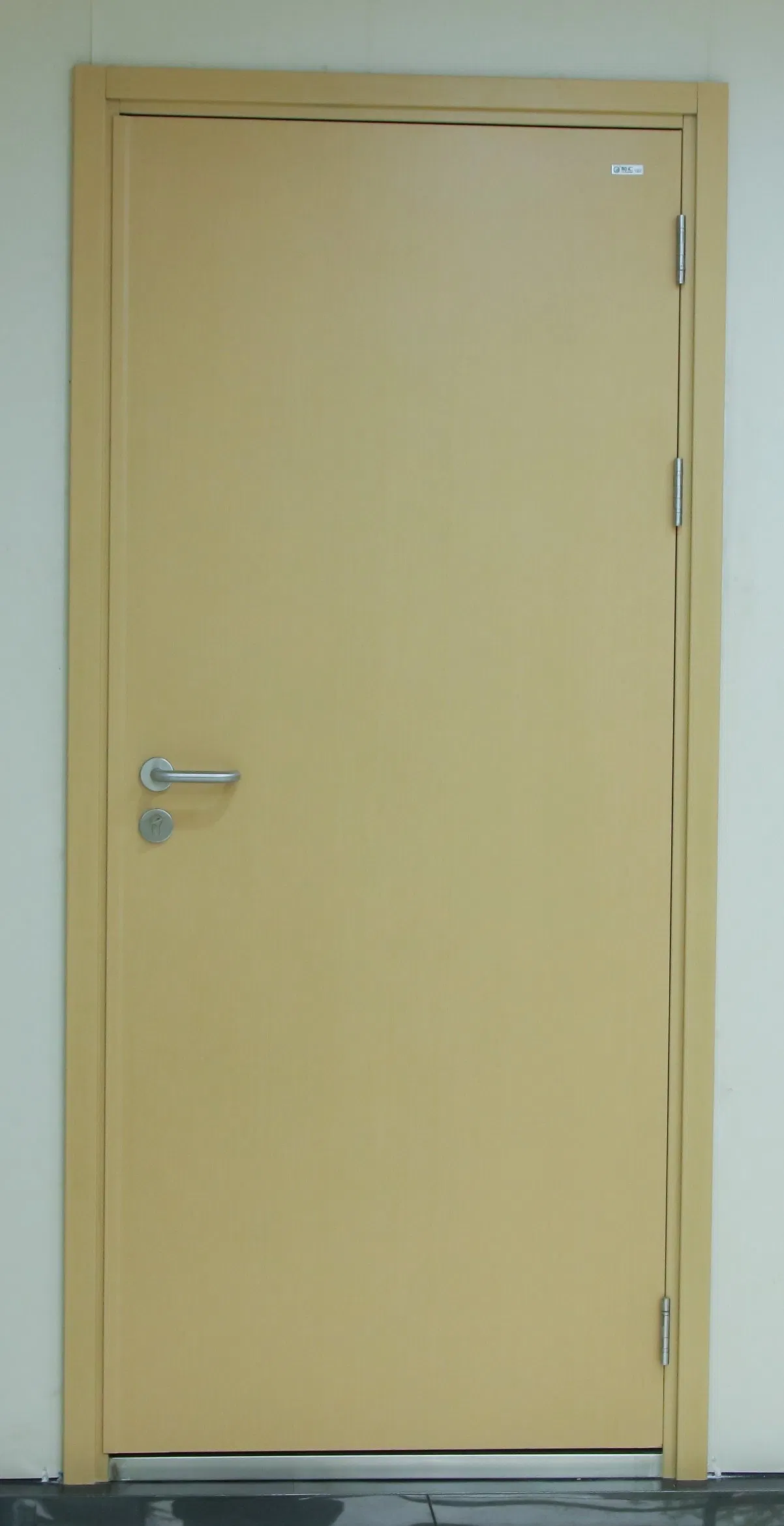 Customization Security Fireproof Emergency Exit Entry Fire Rated Steel Door