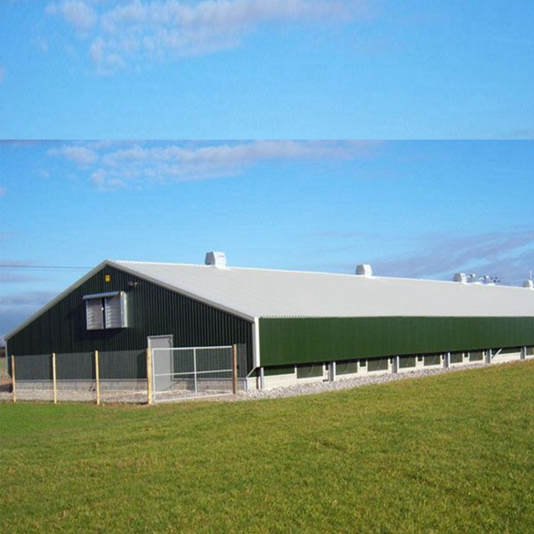 Industrial Steel Structure Design Poultry Farm Shed Poultry Farm Poultry House