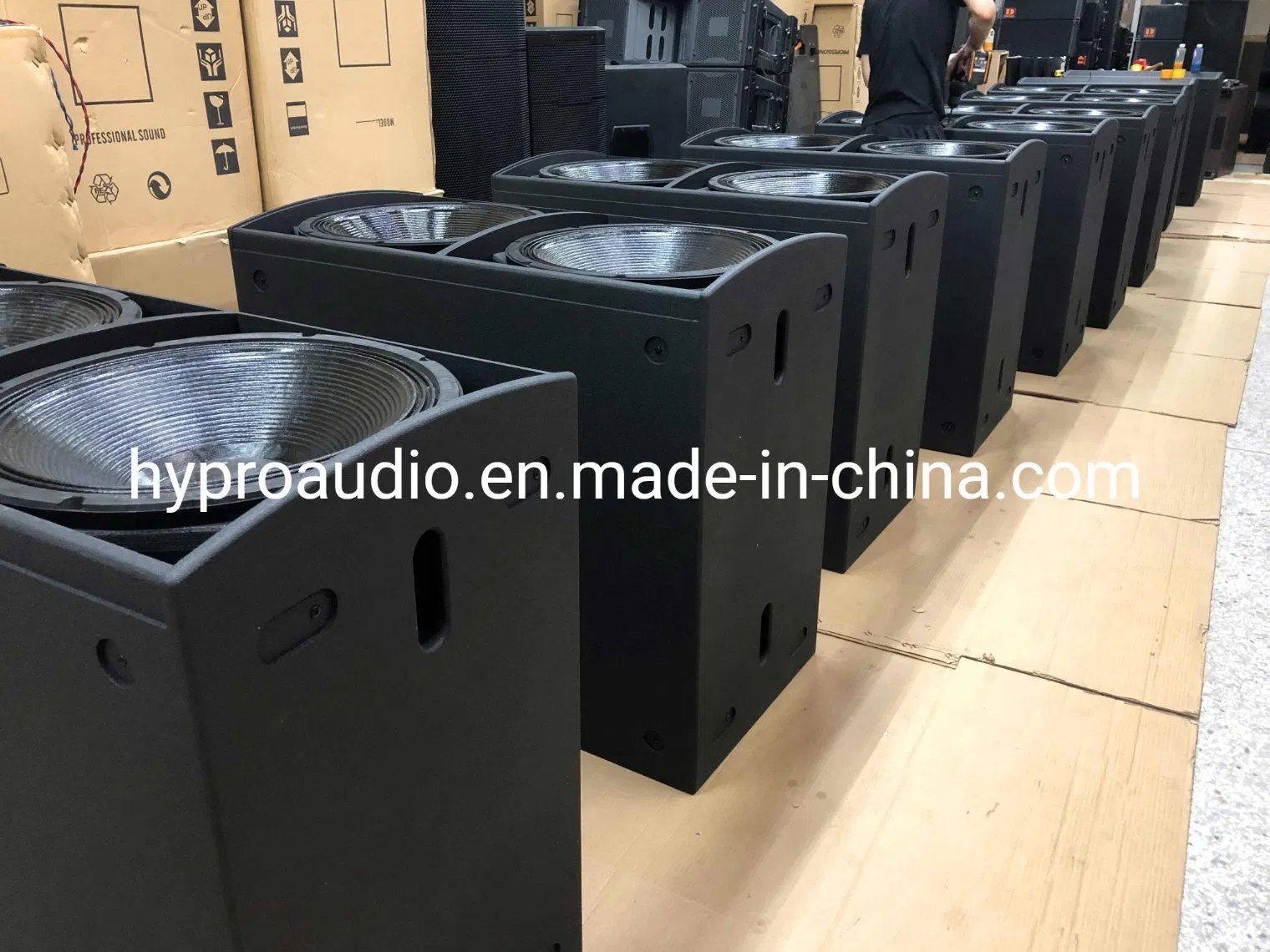 Diase RM218 Dual 18 Inch Powerful Subwoofer RM22 Dual 12 Inch Two Way Speaker