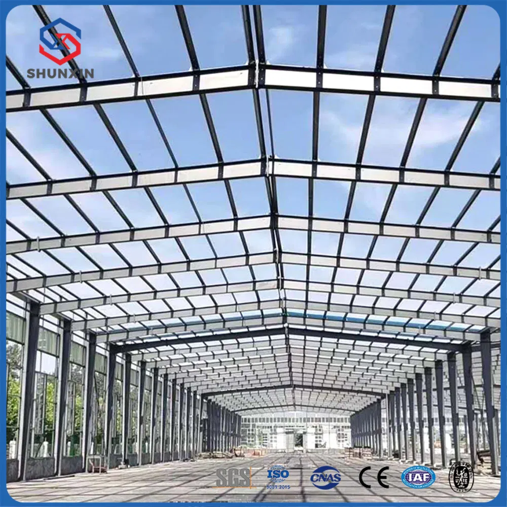 Custom Prefabricated Steel Structures Building for Shopping Malls and Warehouses