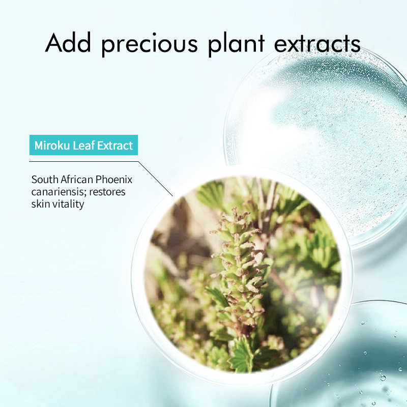 Organic Plant Gentle Facial Serum for Skin Repair Brightening and Barrier Enhancement Skin Essence