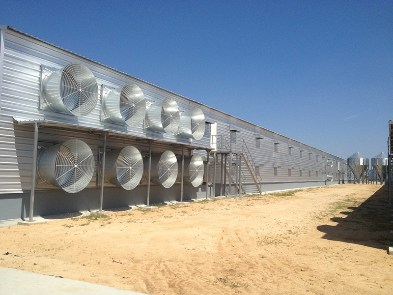 Light Structural Steel Building High Quality Metal Industrial Animals Shed