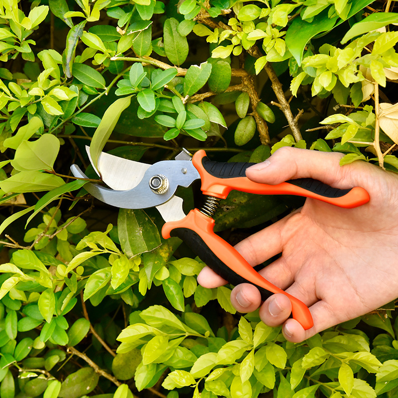 3-Pack Stainless Steel Garden Tool Scissors Pruning Shears Snips and Clippers for Gardening