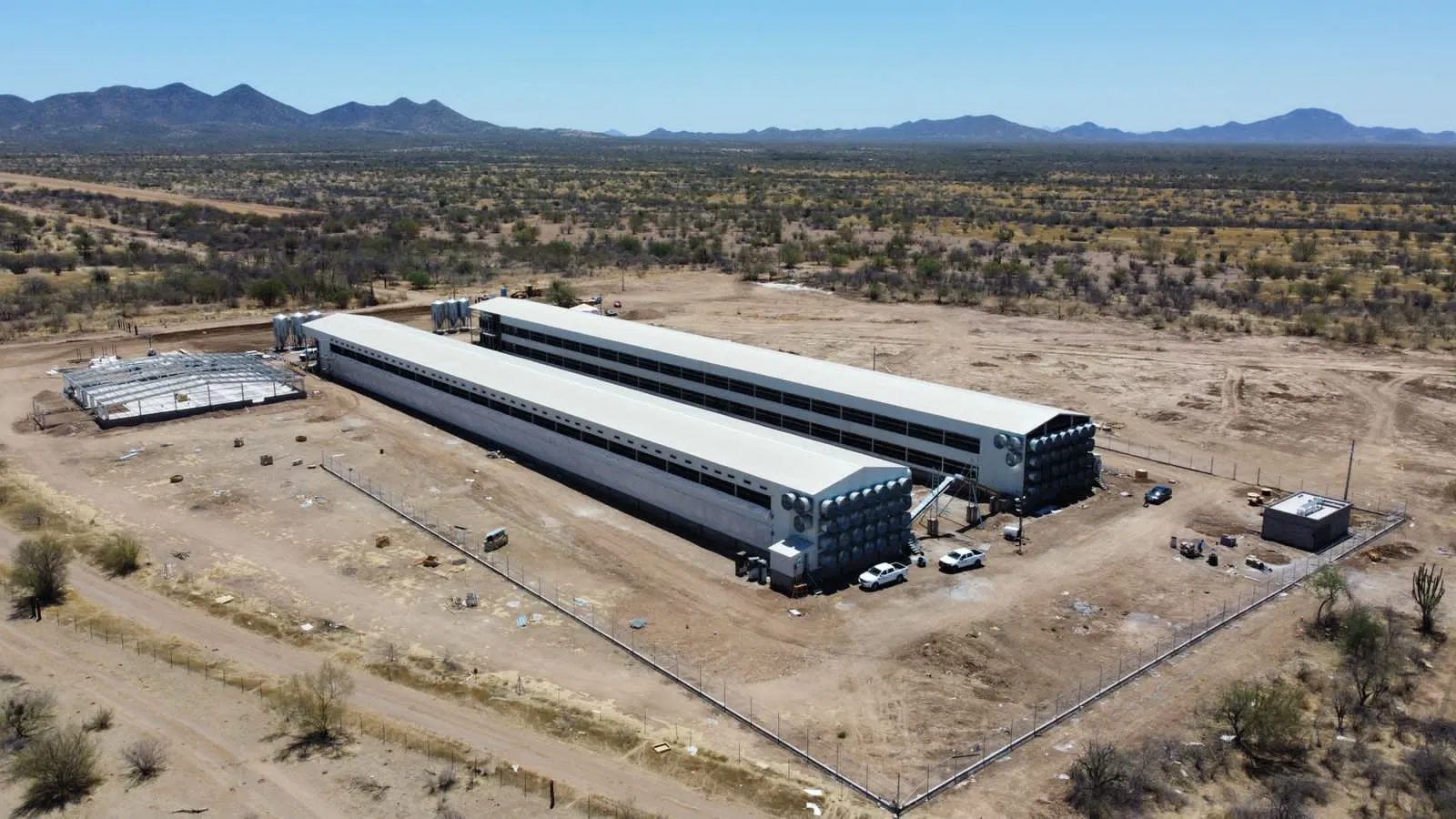 Mexico Construction Prefab Steel Structure Chicken House Building/Warehouse/Workshop