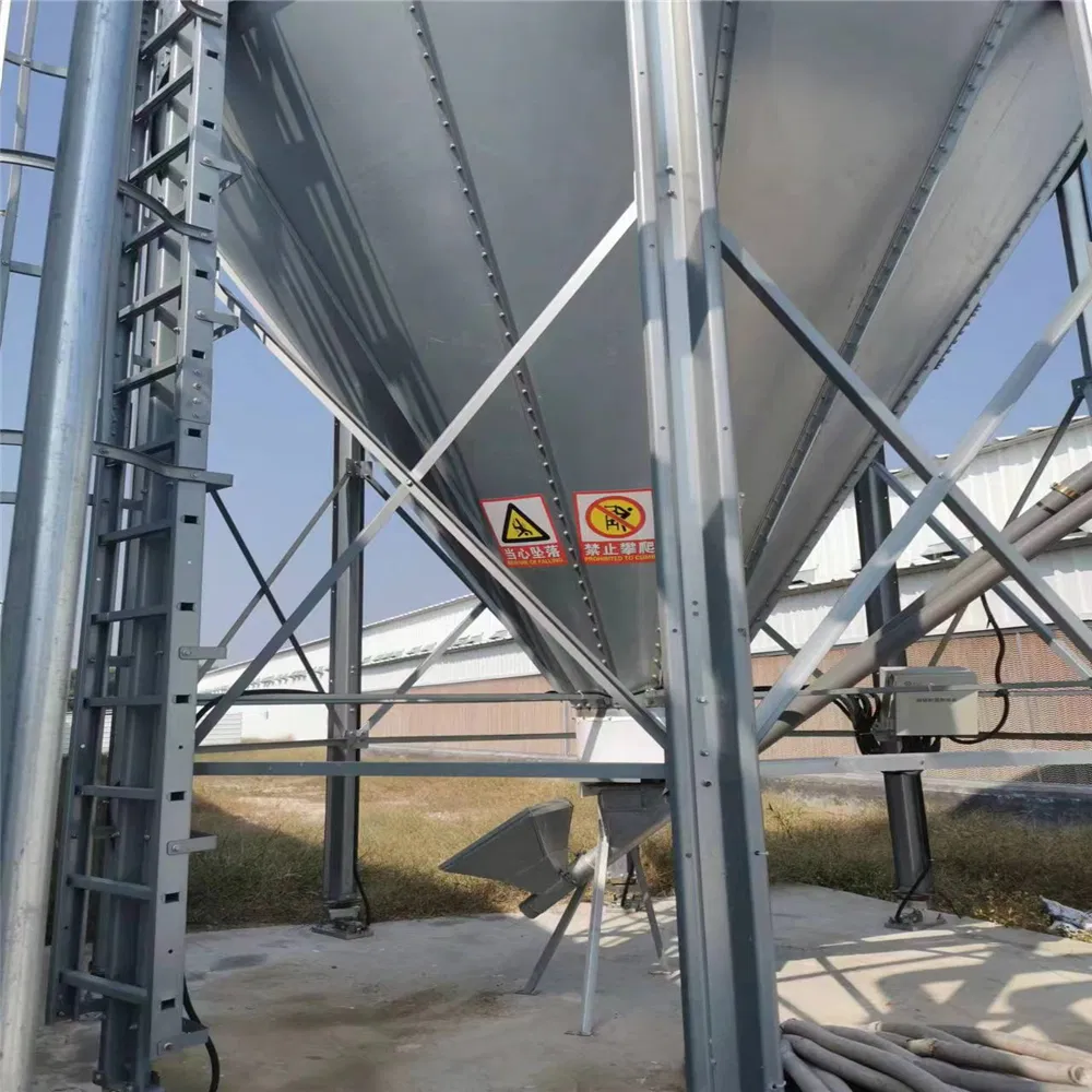 Weather-Resistant Automatic Steel Chicken House for Extreme Climates