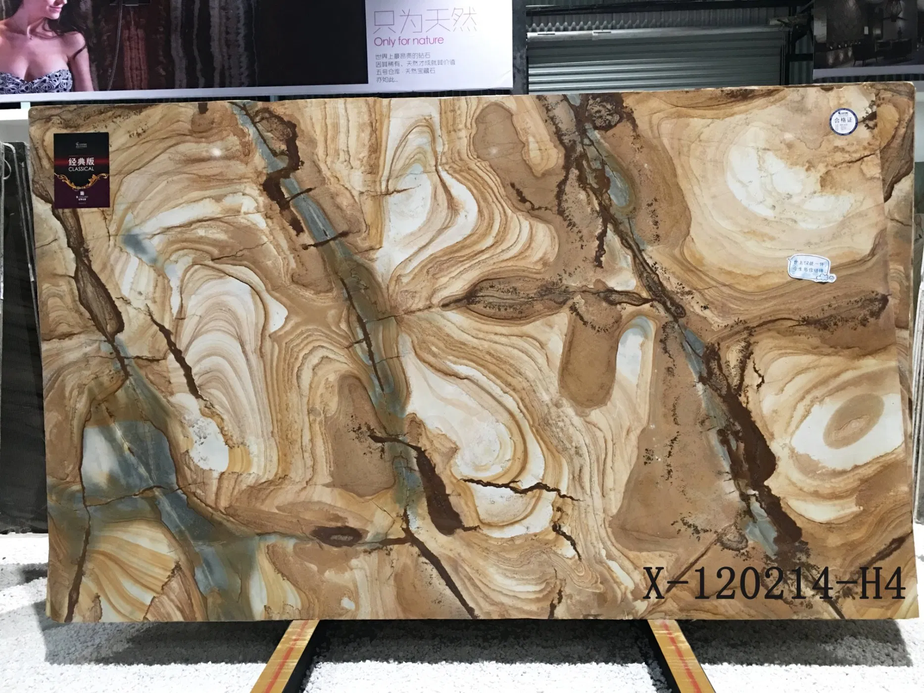 Espinella Gold Brazil Yellow Quartzite for Tiles & Slabs