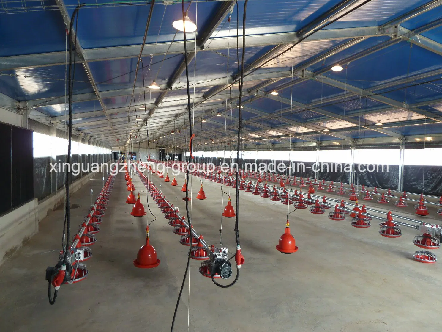 Professional Low Cost Light Steel Structure Duck House