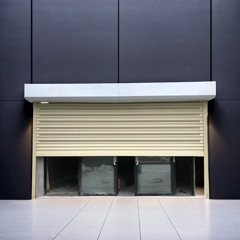 Premium Onos Steel Automatic Roll-up Garage Door with Custom Thickness