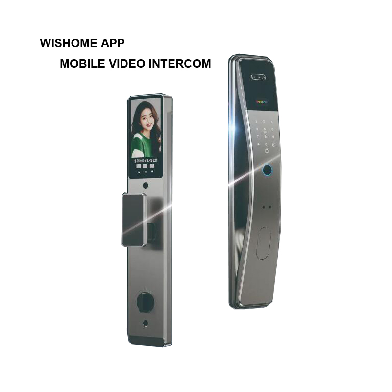 Economy 3D Face Unlock Alumnium Material Smart Lock