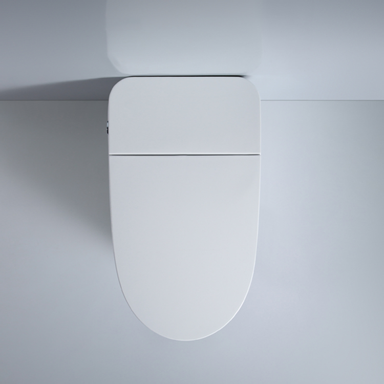 Sanitary Ware One Piece Ceramic Bowl Toilet