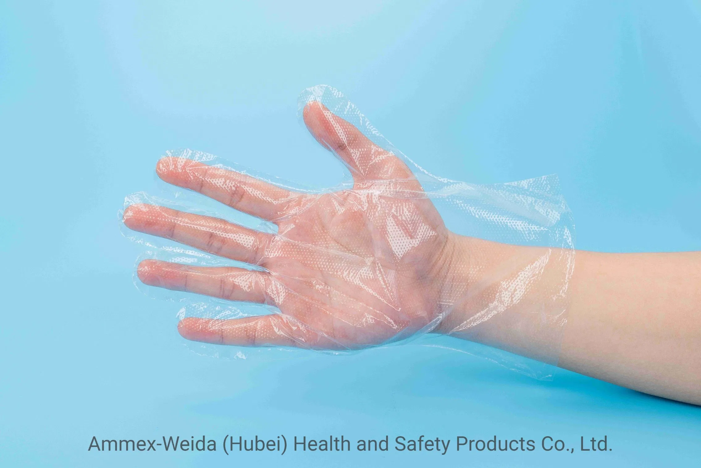 Non-Toxic Tear-Resistance Disposable Transparent PE Gloves Kitchen Use Oil-Proof Plastic Gloves