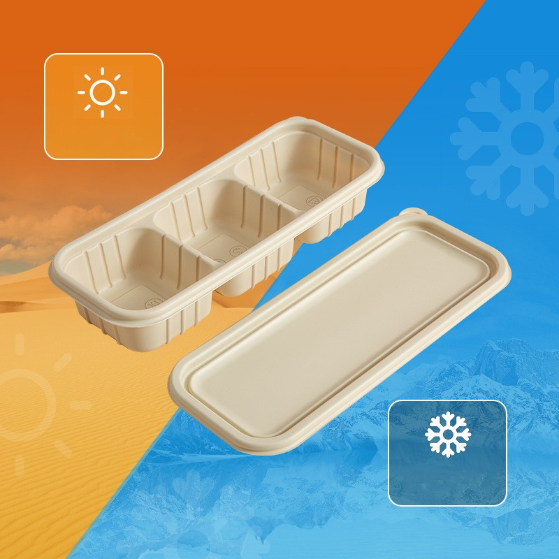 Disposable Bento Cornstarch Food Container Biodegradable Corn Starch Pulp Lunch Box