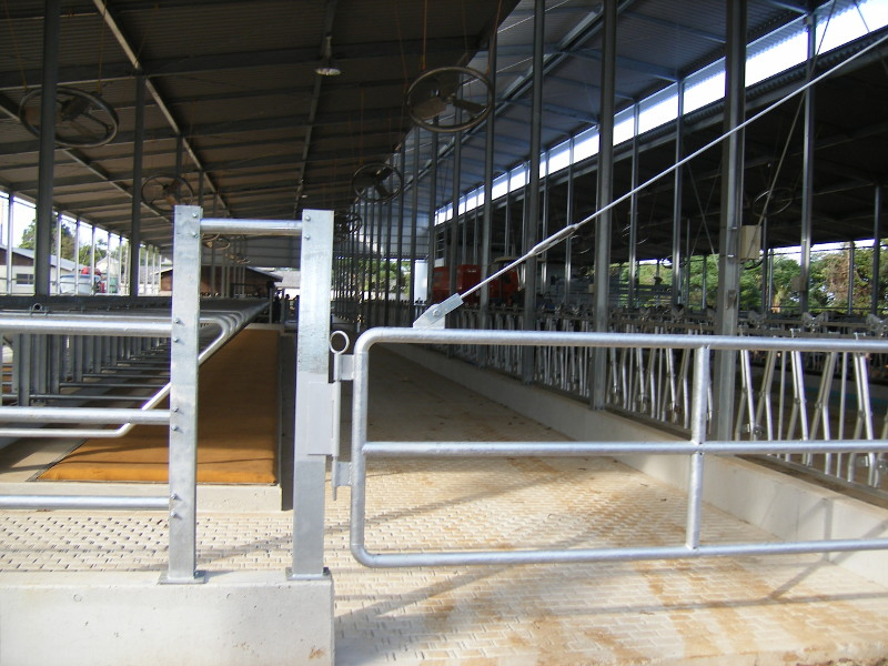Steel Structure Poultry House Prefab Farm Building Cow Barn Sheep/Cattle/Dairy/Goat House Farm Sheds