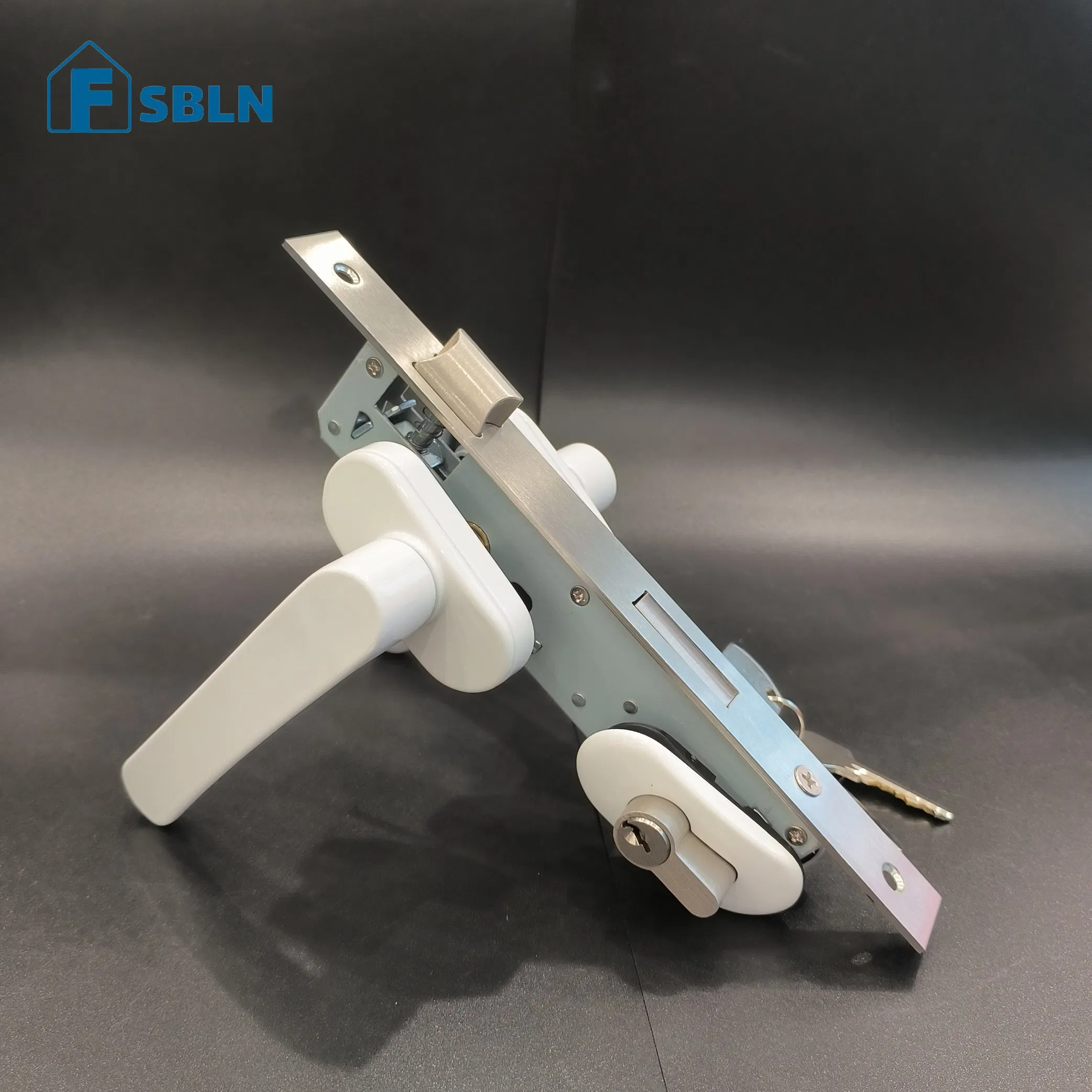 Euro Mortice Locks Lock for Sliding Door Bln Security Cylinder Door Locks Mortise Door Handle Lock