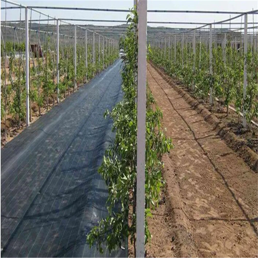 UV Resistance Garden Cover Mat Weed Control Barrier with Distributor Price