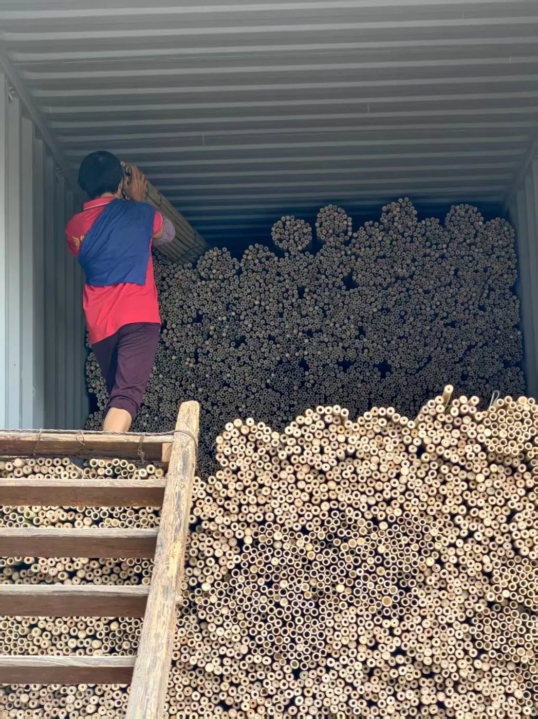 Tonkin Bamboo Pole Stake Stick Cane for Plant/Tree/Flower Support Bamboo C