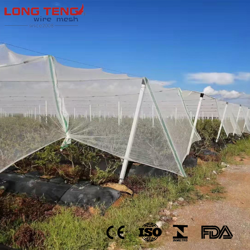 40 Mesh 5-Square Splicing Hail and Insect Prevention Net