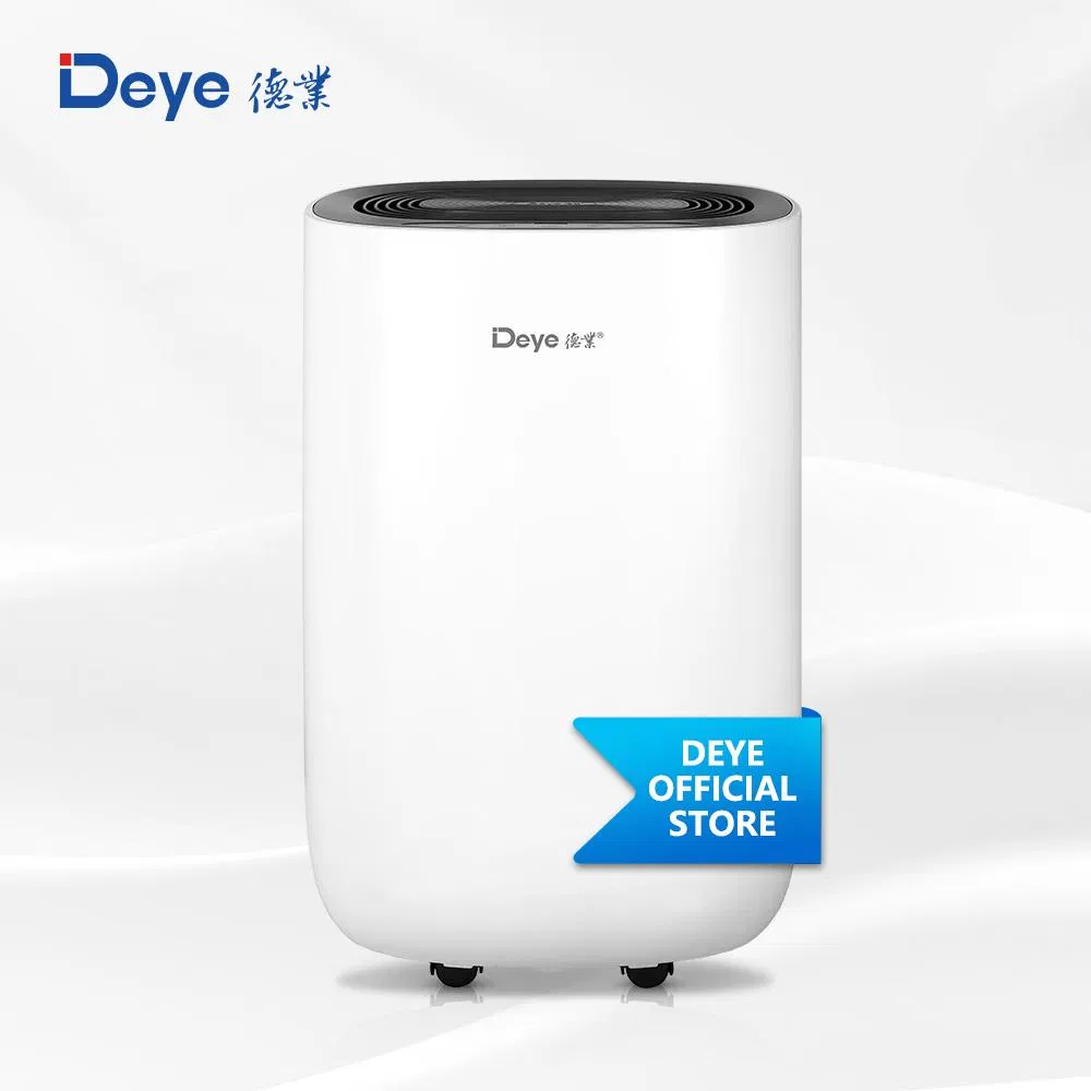 Hot Sale Removable Water Tank Automatic Humidistat Control Home Dehumidifier