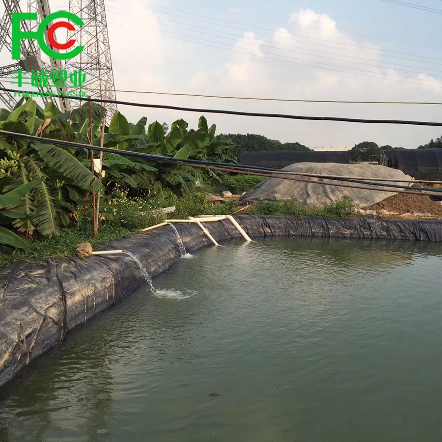 0.3mm 0.5mm 3mm Aquaculture Pond Liner Fish Tank Shrimp Pond Farm Liner