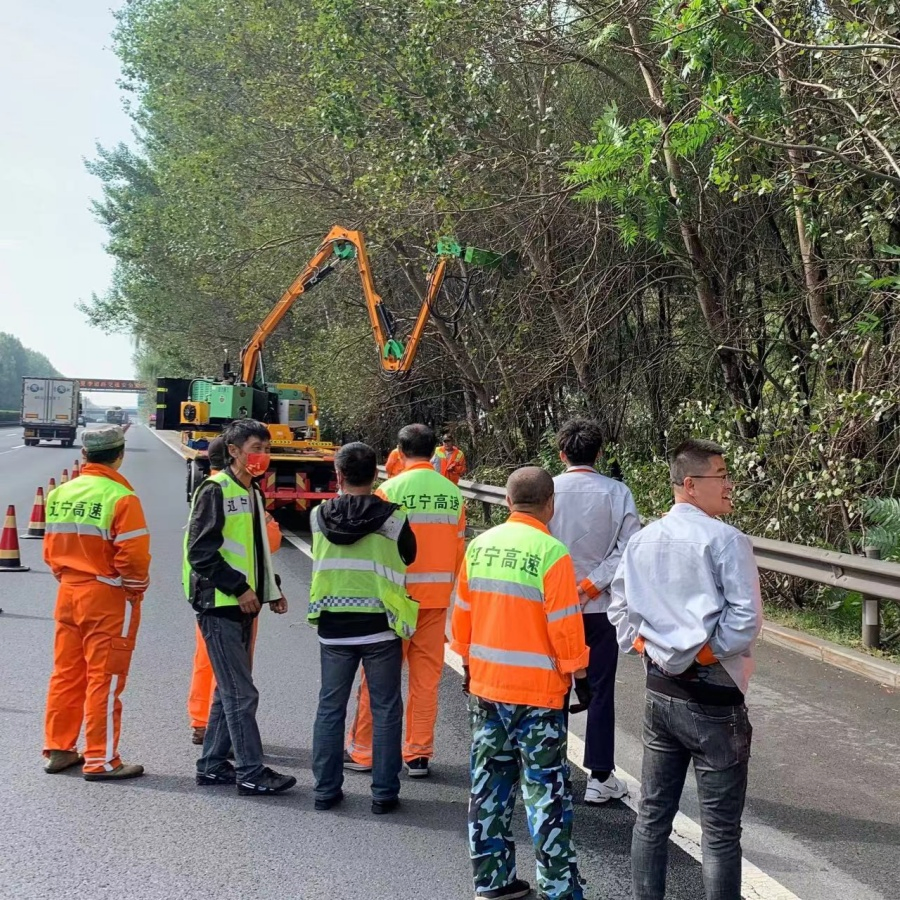 Ple Hot-Selling Garden Tools Hedge Trimmer Greening Trimmer