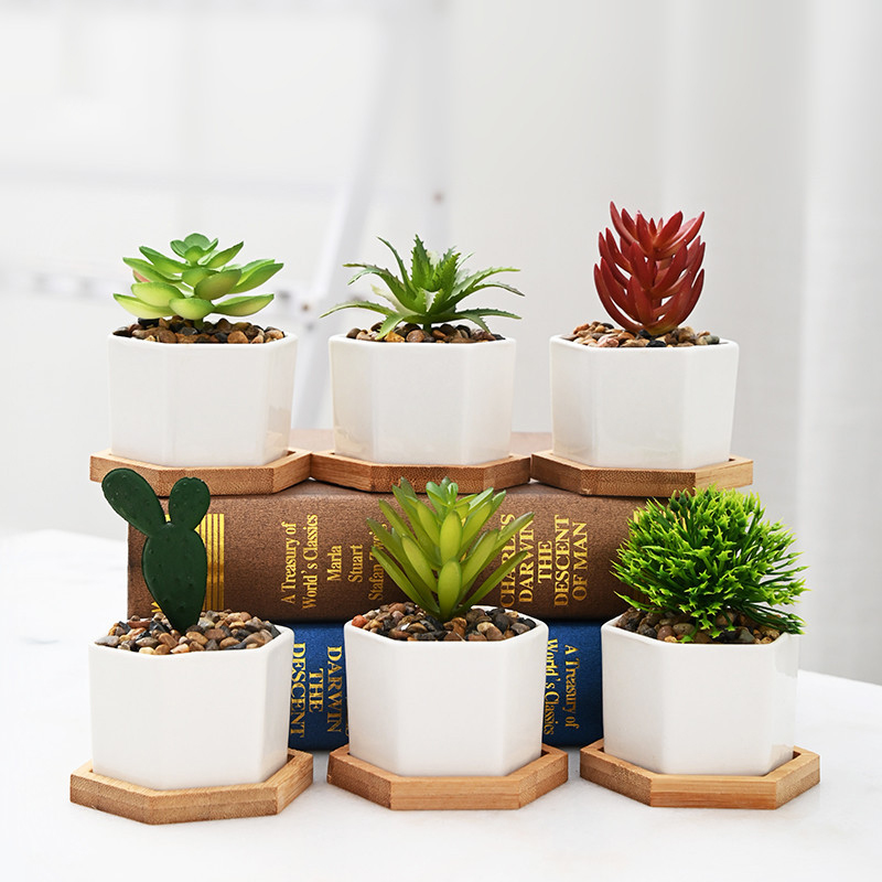 Набор садовый DD2300 мини-растения горшки с подносом чашка