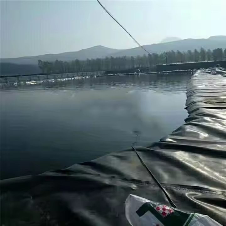 HDPE Anti-Leakage Pond Smooth Textured Membrane 2mm 1 mm 1.5 mm Dam Liner UV Resistance HDPE Geomembrane for Agricultural Farms