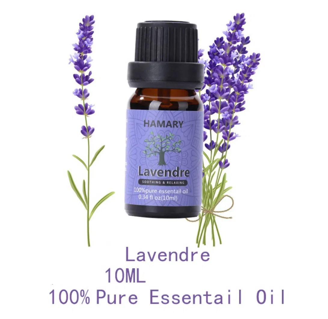 Free Sample Cheap Tea Tree Essential Oil for Face, Hair, Nails Acne, Skin Care