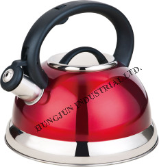 3.0L Stainless Steel Whistling Kettle Different Types