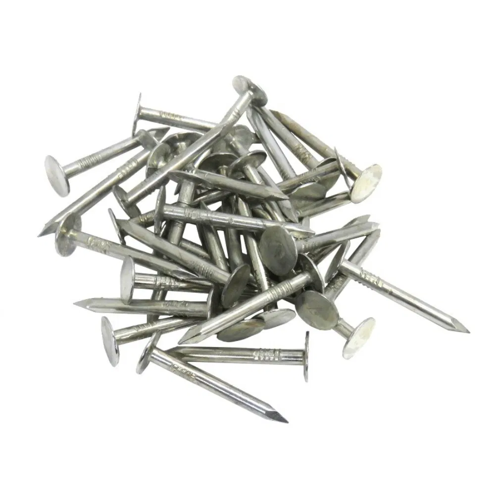 High Quality Hot Selling Giant Coil Roof Nail Umbrella Durable Steel Cap Twisted Handle Smooth Shank Bright Surface Carton