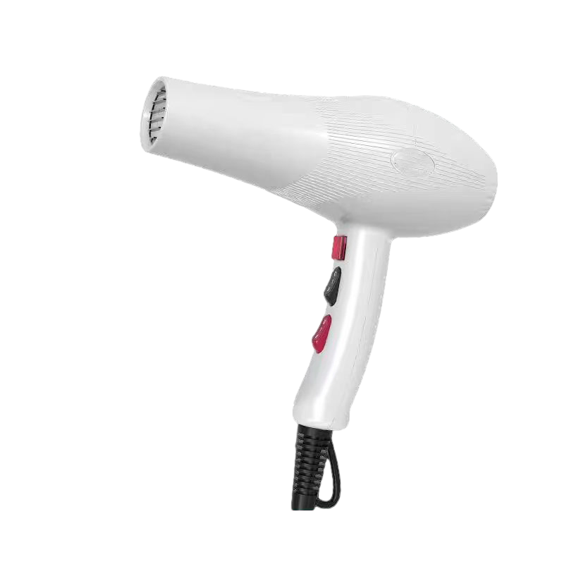 New Design Factory High Power Hair Dryer Negative Ion