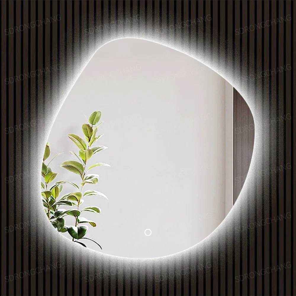 Home Hotel LED Mirror Full Length Dressing Rectangle Large Bedroom Living Room Mirror with Touch Button Dimmable Lighting Mirror