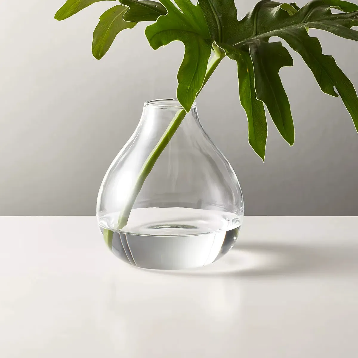 Transparent Large Glass Vase/ Flower in Different Container/ Home Decorations