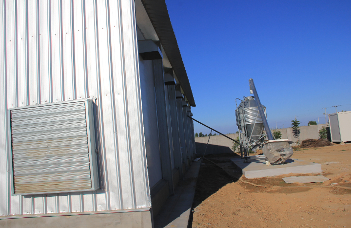 Build a Steel Frame Chicken Coop with Full Equipment