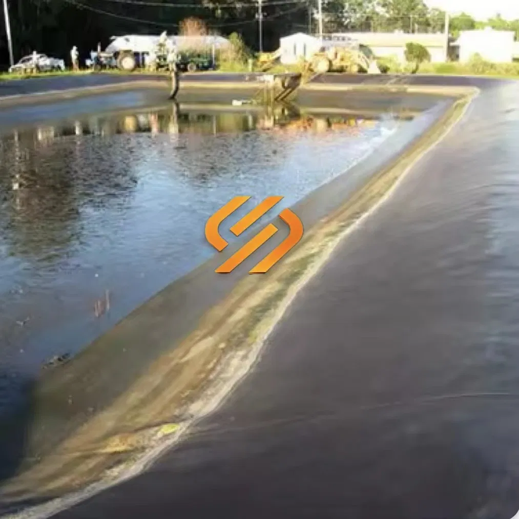 Black 1.0mm HDPE Liners Sheet for Artificial Lake Project Geomembrane Price