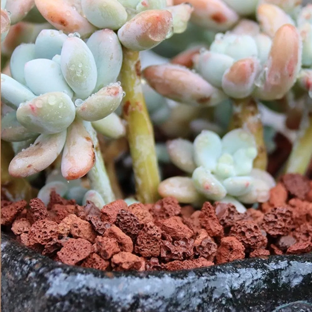 Flower Pot Bonsai Pot Volcanic Rocks Lava Rock Stone China Volcan Rock
