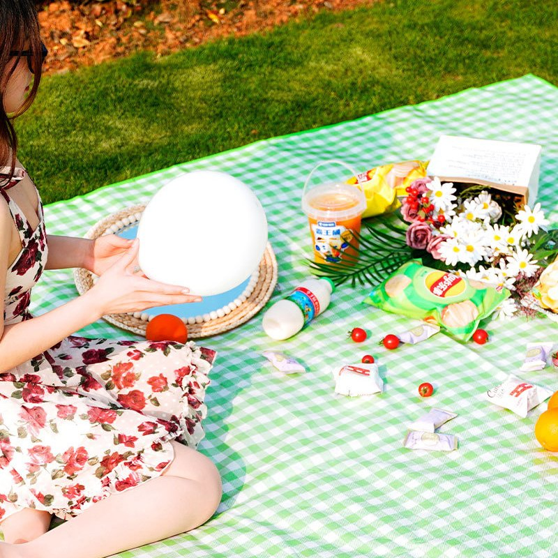 Outdoor Portable Folding Waterproof and Moisture-Proof Thickened Camping Picnic Mat