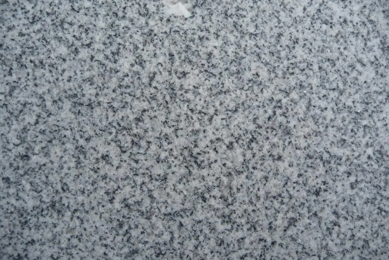 Natural Stone Light Grey Granite for Tile/Slab Wall/Floor/Cladding/Paving/Cube/ Steps/Risers