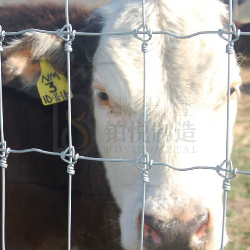 Boyue Fixed Knot Fence Cattle Fence Farm/Sheep Farm/Field/Deer Wire Mesh Fence Galvanized Farm Fence S Knotted