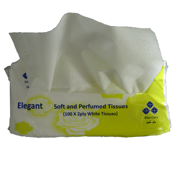 Custom Logo Printed Soft Pack Virgin Pulp White Facial Tissue Paper for Promotional